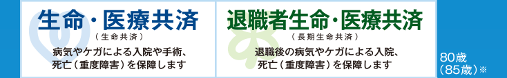 生命・医療共済(生命共済) 病気やケガによる入院や手術、死亡(重度障害)を保障します 退職者生命・医療共済(長期生命共済) 退職後の病気やケガによる入院、死亡(重度障害)を保障します