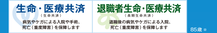 生命・医療共済（生命共済） 病気やケガによる入院や手術、死亡（重度障害）を保障します　退職者生命・医療共済（長期生命共済） 退職後の病気やケガによる入院、死亡（重度障害）を保障します